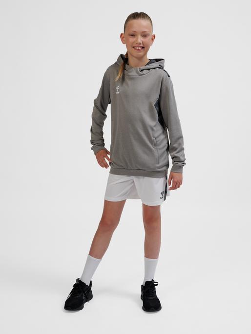 Immagine prodotto hummel Hmlauthentic Pl Hoodie Kids (164)