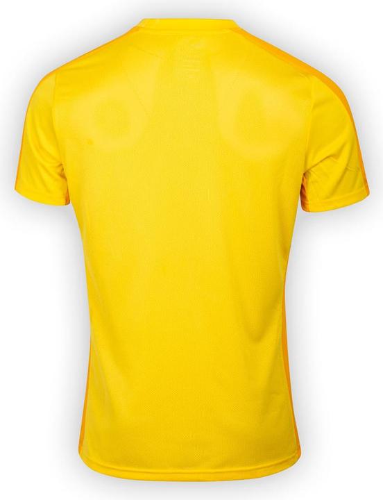 Immagine prodotto Nike Dri-Fit Academy Uomo Sho Tour Giallo/University Gold/Bl XL (XL)