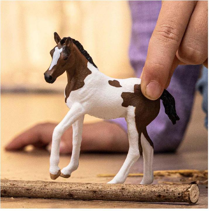 Actual product image Schleich Paint Horse Foal