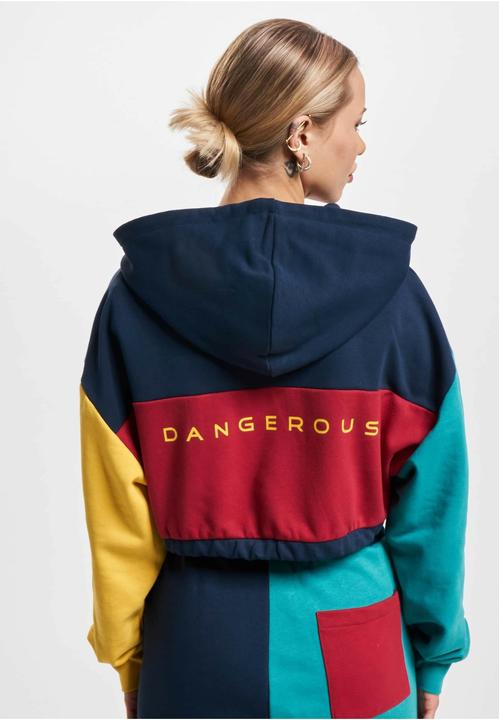 Image du produit Dangerous DNGRS Sweat à capuche 4C - 139053 (L)