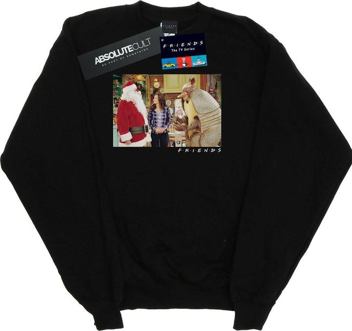 Friends The Holiday Armadillo Sweatshirt (S)