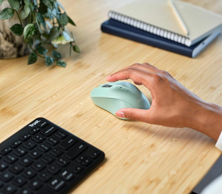 Image du produit Trust Mydo Silent Wireless Mouse Gree (Sans fil)