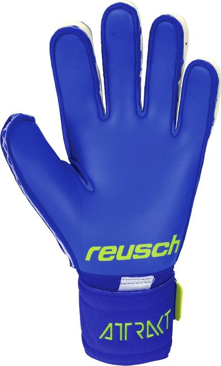 Produktbild Reusch Attrakt Duo (11)