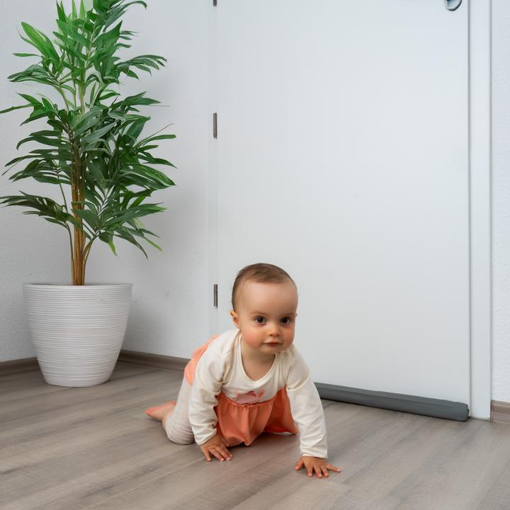 Image du produit Reer Protection anti-pince-doigts fente de bas de porte