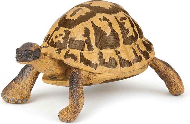 Papo Hermanns Schildkröte