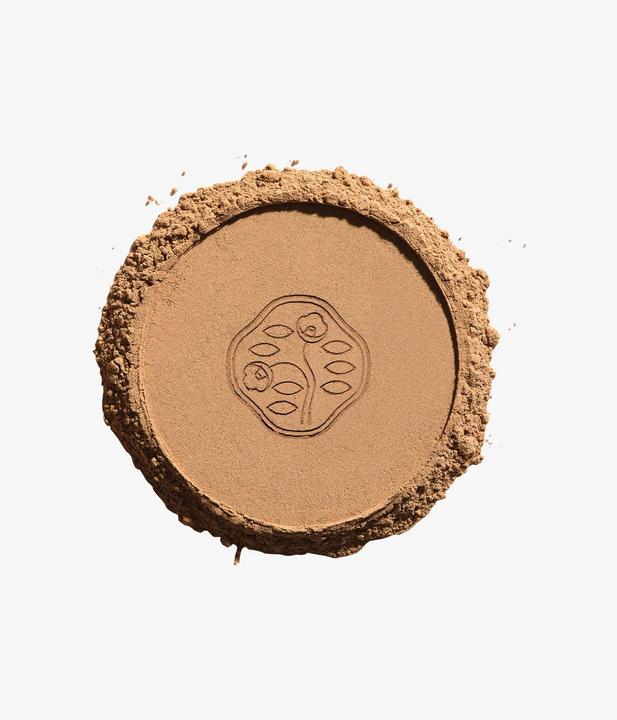Actual product image Shiseido Tanning (Bronze)