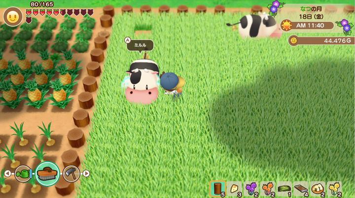 Produktbild Marvelous Story of Seasons : Friends of Mineral Town (Switch, FR)
