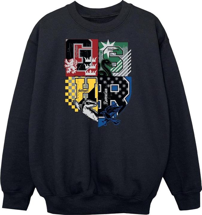 Sweatshirt Jungen