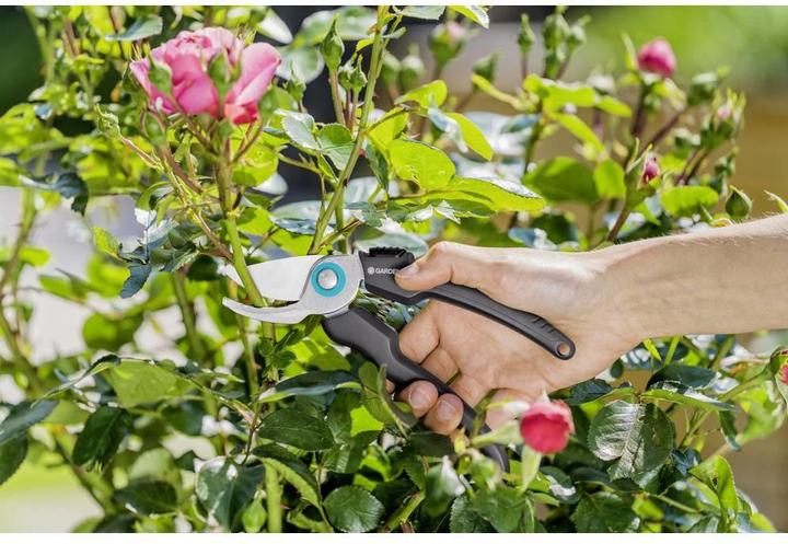 Actual product image Gardena EcoLine