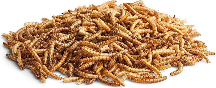 Actual product image Bunny Desire for nature - That worms mealworms Eco (0.04 kg, 1 x)