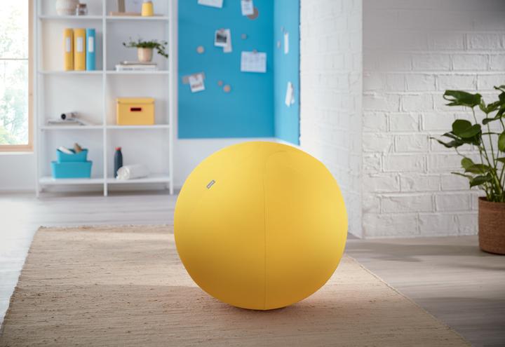 Produktbild Leitz Ergo Cosy Active Sitzball (65 cm)