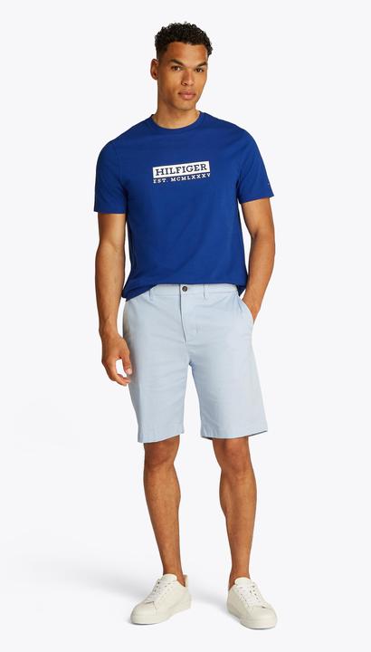 Actual product image Tommy Hilfiger 10021333 (W32)