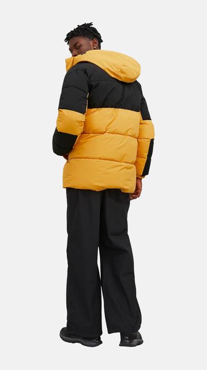 Image du produit Jack & Jones Force (M)
