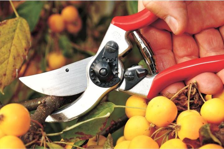 Actual product image Felco Garden shears 11