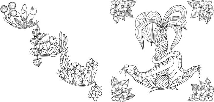 Produktbild Tropical Flowers – Exotische Blumen- und Pflanzen-Motive ausmalen