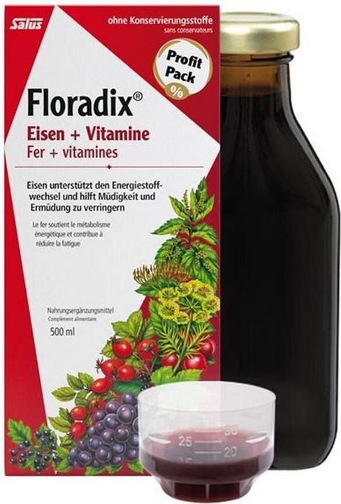 Produktbild Floradix Eisen (1 Stück, Flüssigkeit, 600 g)