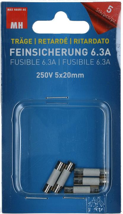 Max Hauri Fusible fin (Microfusible, 6.30 A, Paresseux)