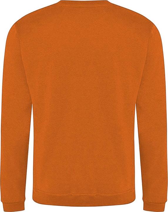 Immagine prodotto Pro RTX Felpa (3XL)