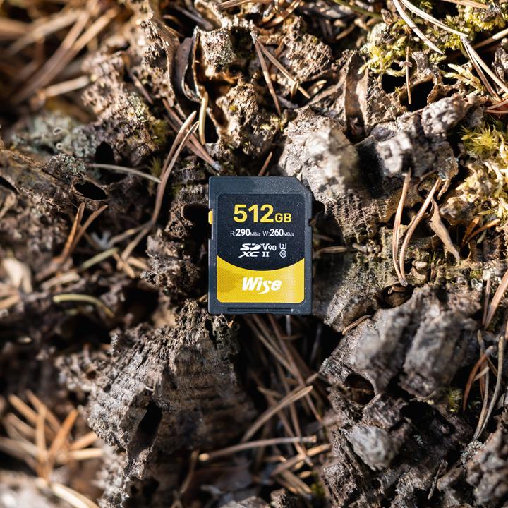 Actual product image Wise 512GB SDXC UHS II V90 Memory Card (512 GB, SDXC, U3, UHS-II)