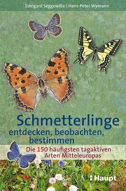 Produktbild Schmetterlinge entdecken, beobachten, bestimmen (Deutsch, Edelgard Seggewisse, 2015)