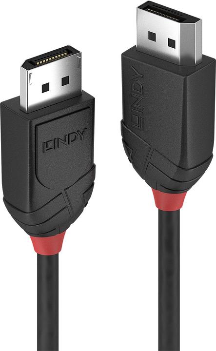 Actual product image Lindy DisplayPort — DisplayPort (2 m, DisplayPort)