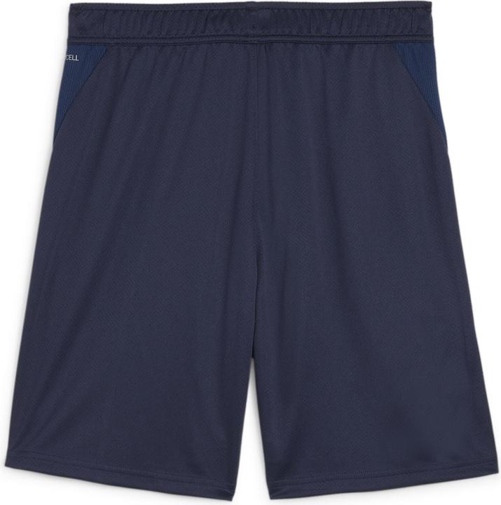 Actual product image Puma teamGOAL Training Short (3XL)