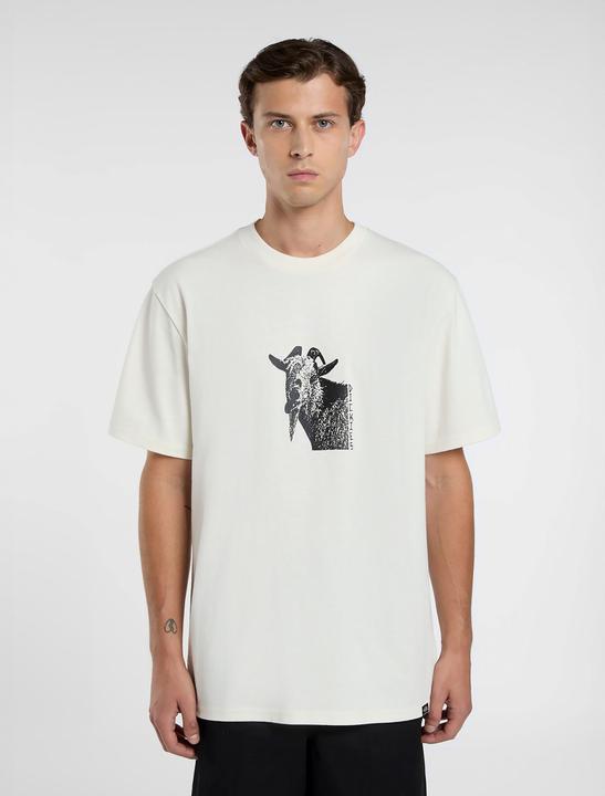 Immagine prodotto Dickies Mike Anderson Graphic SS Tee (S)