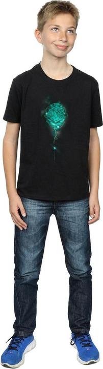Produktbild Hogwarts Crest Mist TShirt Jungen (152, 158)