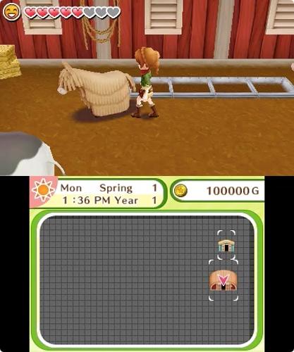 Actual product image Nintendo Harvest Moon: Skytree Village (3DS)