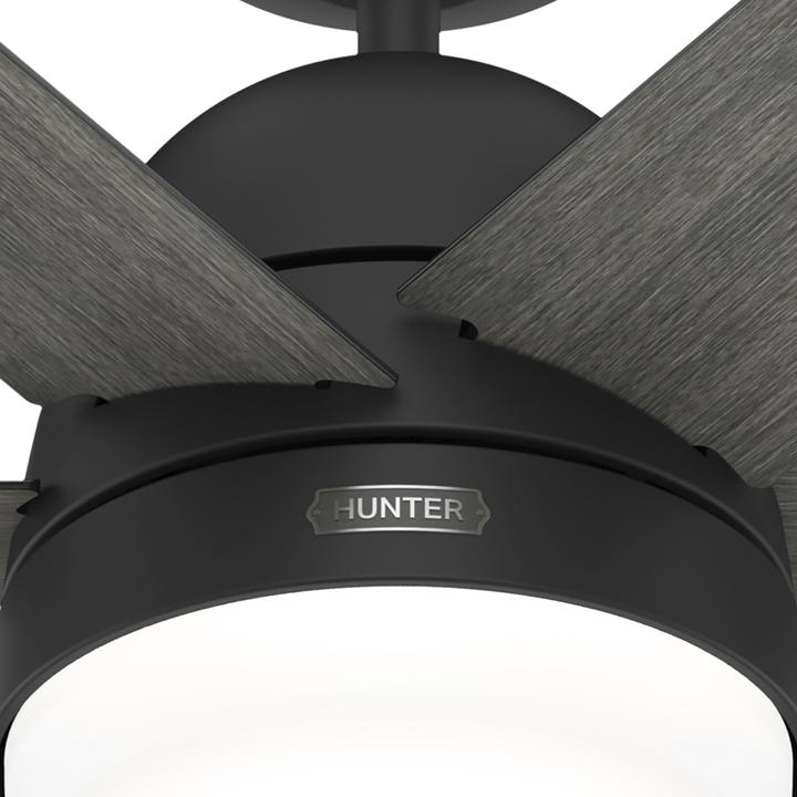 Actual product image Hunter Fans DC Deckenventilator Arete Schwarz mit Licht & Fernbedienung (42.70 dB)