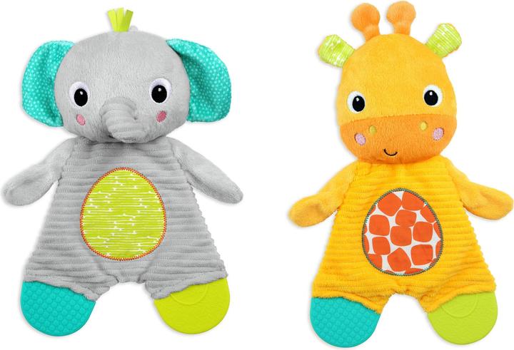 Bright Starts Snuggle & Teethe