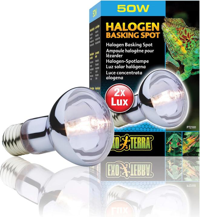 Actual product image Exo Terra Sun Glo daylight halogen lamp 50W (UVB, UVA)