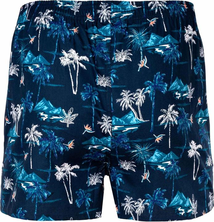 Immagine prodotto Happy shorts Boxer in tessuto dal taglio casual e confortevole (L)
