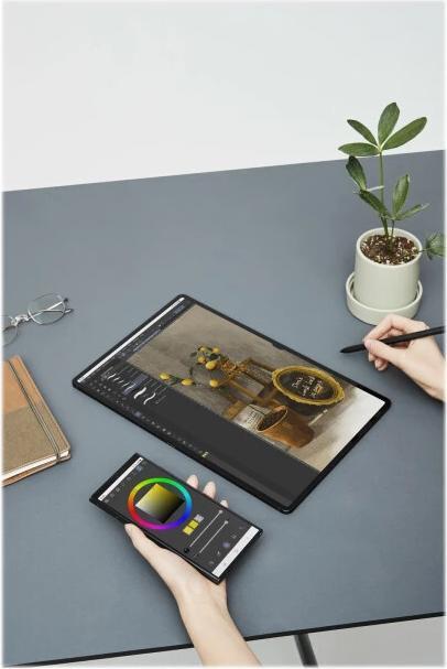 Actual product image Samsung Galaxy Tab S8 Ultra (WLAN only, 14.60", 128 GB, Graphites)