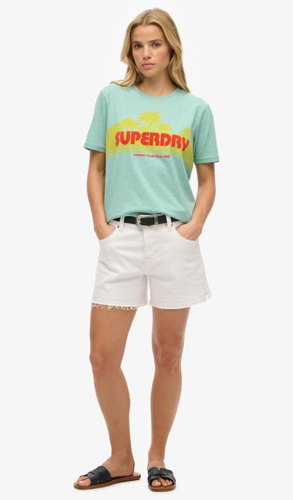 Actual product image Superdry Outdoor Stripe Relaxed Tee (14)