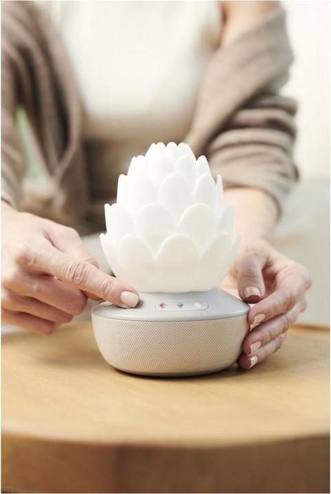 Image du produit Skiphop Veilleuse succulente