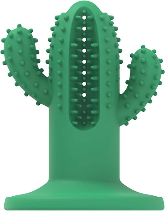 Immagine prodotto All for Paws AFP - Cactus dentale grande verde 15 cm - (AFPH04198) (Gioco da masticare per cani)