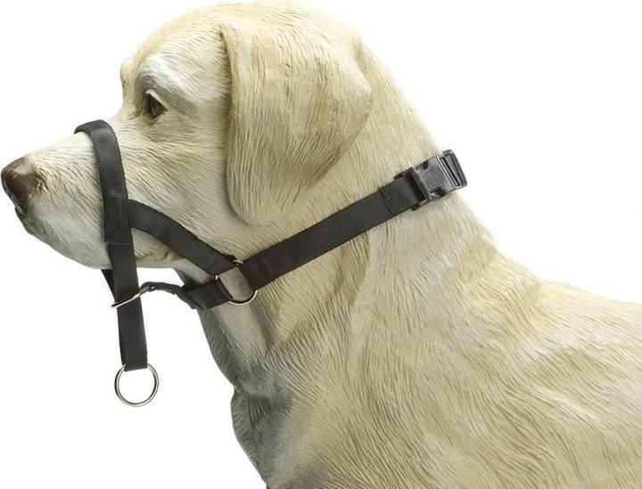 Actual product image Beeztees Bz Dog Control M Schwz (M, Dog, General)