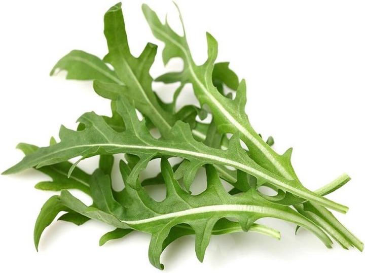 Actual product image Click and Grow Arugula (Vegetable seeds)