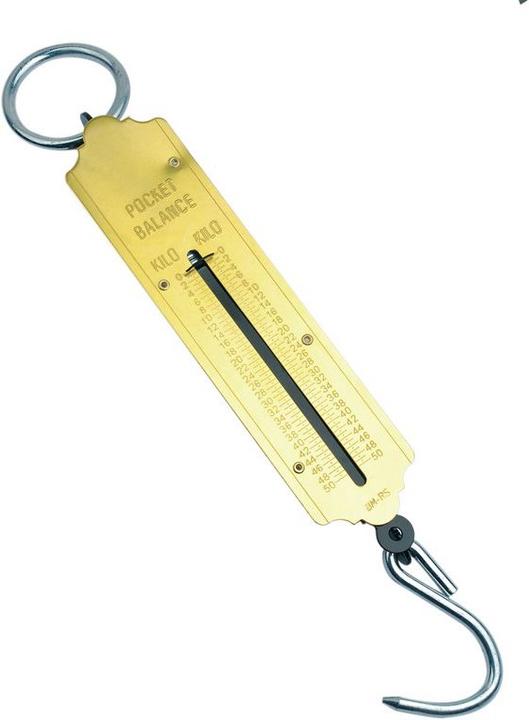 Produktbild Mannesmann Taschenfederwaage 100 kg