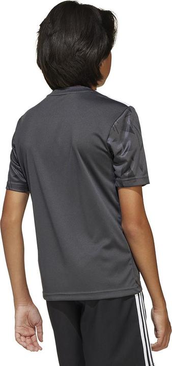 Actual product image adidas Team Icon 25 Jersey Kids (128)