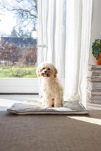 Actual product image Designed by Lotte Nalino (Dog)