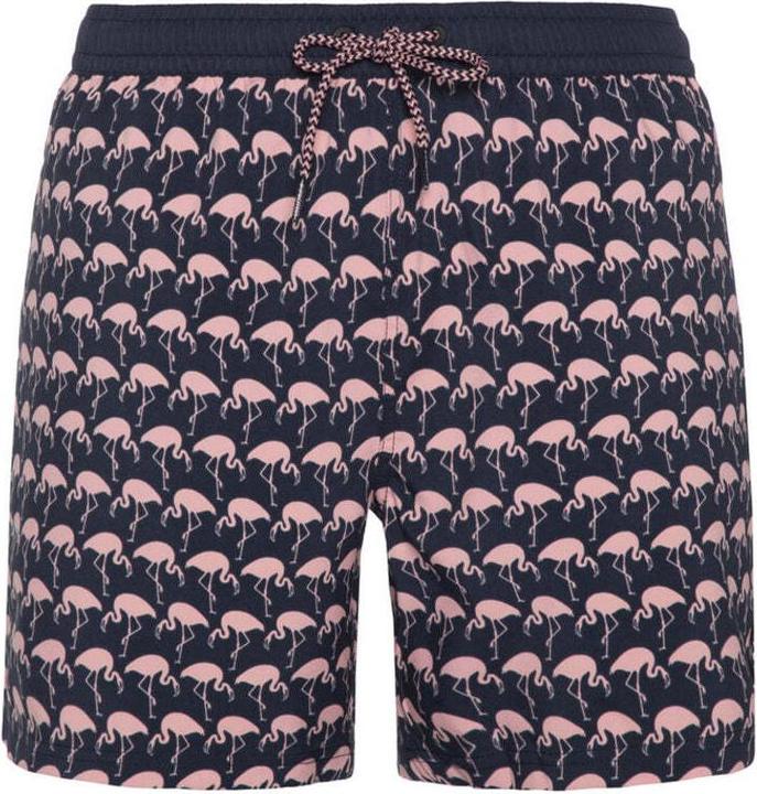 Protest Herren Beachshort PRTOHLANDER Night SkyBlue S (S)