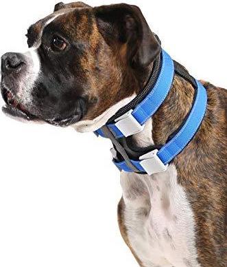Produktbild Cesar Millan Trainingshalsband mittel