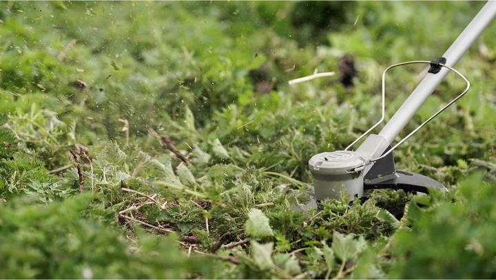 Image du produit Bosch Home & Garden AdvancedBrushCut 36V-23-750 (Fils coupe-herbe)