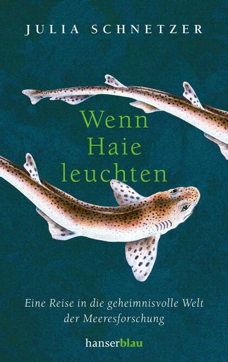 Hanserblau Wenn Haie leuchten (Deutsch, Julia Schnetzer, 2022)