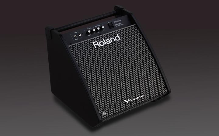 Immagine prodotto Roland Monitor personale PM-200
