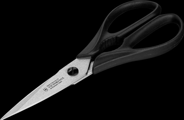 Actual product image Victorinox Swiss Classic (17 cm)