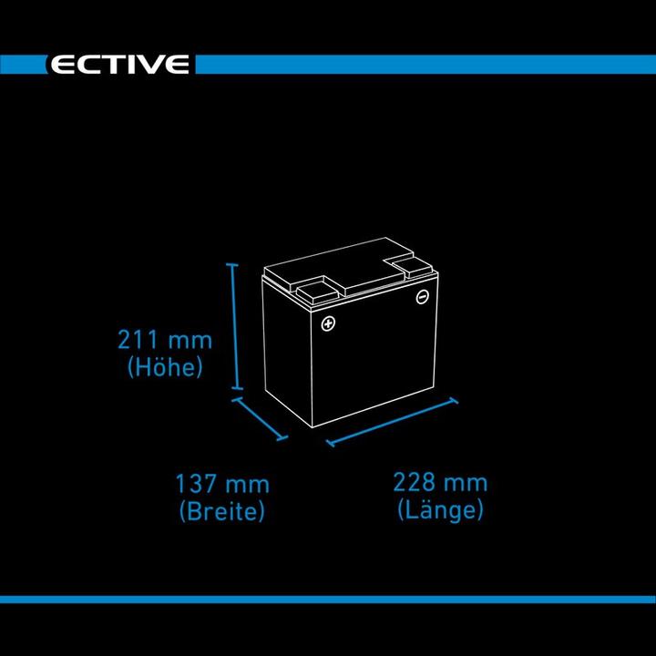 Immagine prodotto Ective Batteria di alimentazione AGM a ciclo profondo 12V 65Ah con display batteria camper (12 V, 65 Ah)