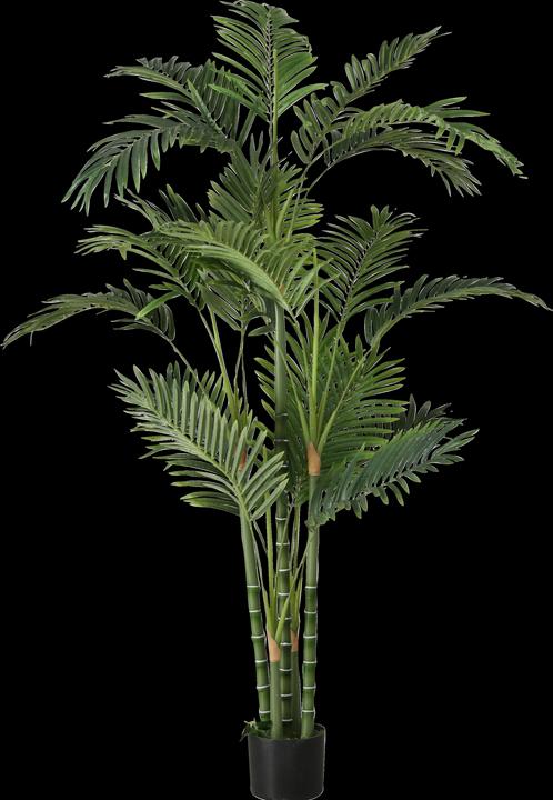 Actual product image Boltze Home Potted plant (165 cm)